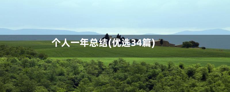 个人一年总结(优选34篇)