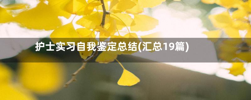 护士实习自我鉴定总结(汇总19篇)