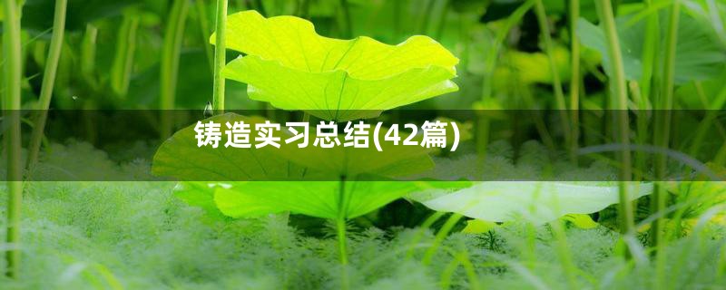 铸造实习总结(42篇)