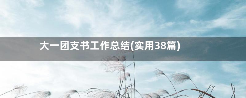 大一团支书工作总结(实用38篇)