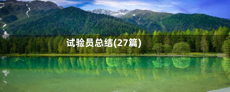试验员总结(27篇)