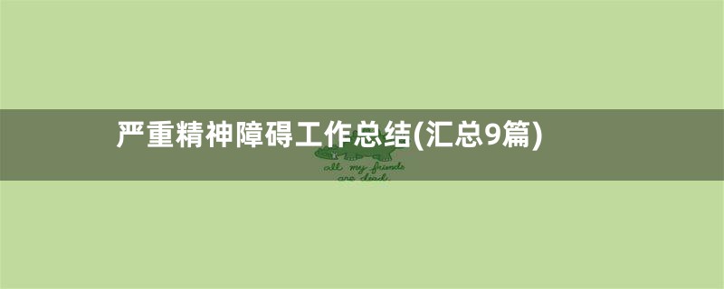 严重精神障碍工作总结(汇总9篇)