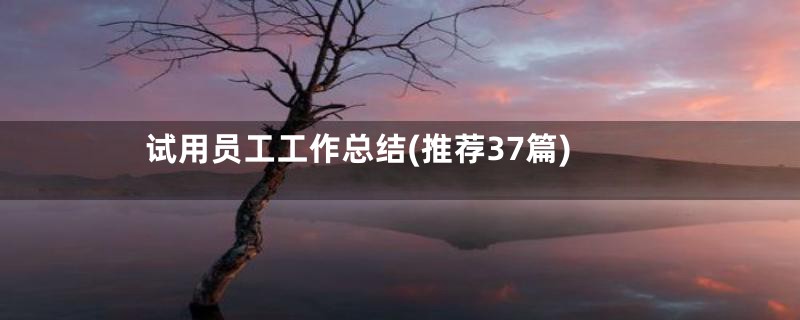 试用员工工作总结(推荐37篇)