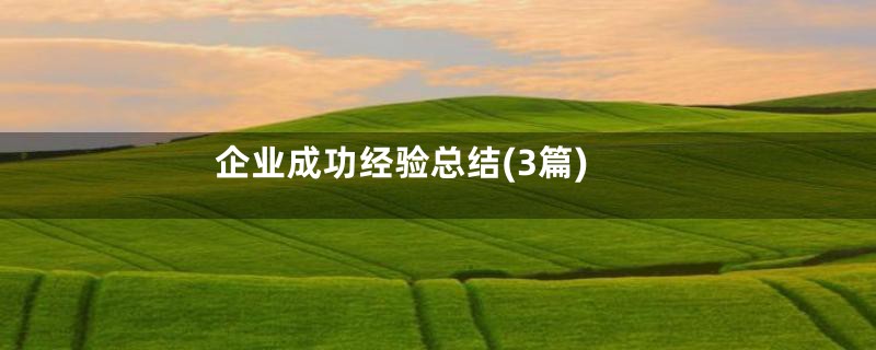 企业成功经验总结(3篇)
