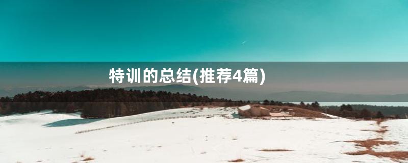 特训的总结(推荐4篇)
