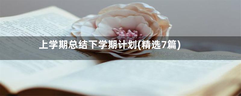 上学期总结下学期计划(精选7篇)