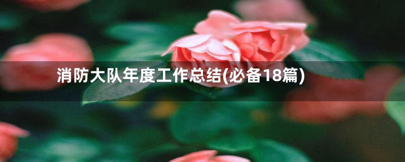 消防大队年度工作总结(必备18篇)