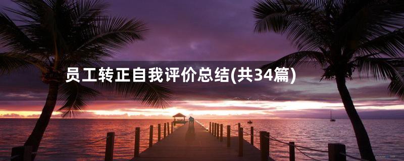 员工转正自我评价总结(共34篇)