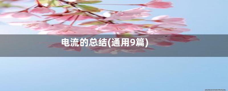 电流的总结(通用9篇)