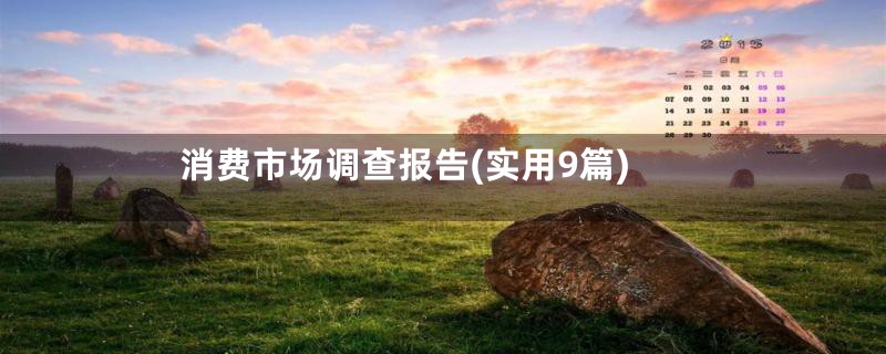消费市场调查报告(实用9篇)