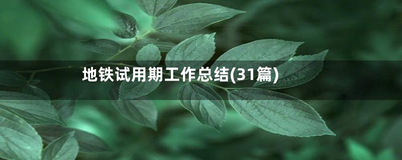 地铁试用期工作总结(31篇)