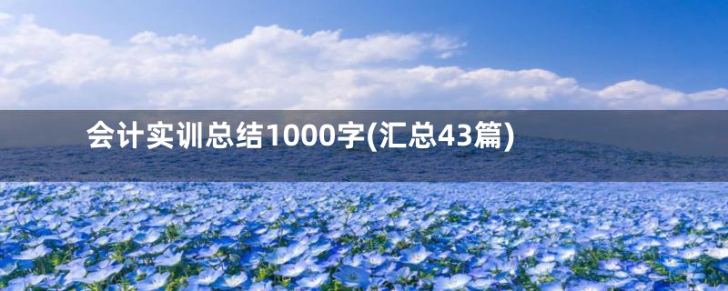 会计实训总结1000字(汇总43篇)