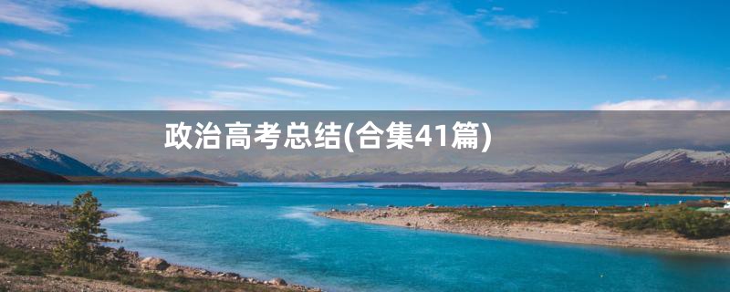 政治高考总结(合集41篇)