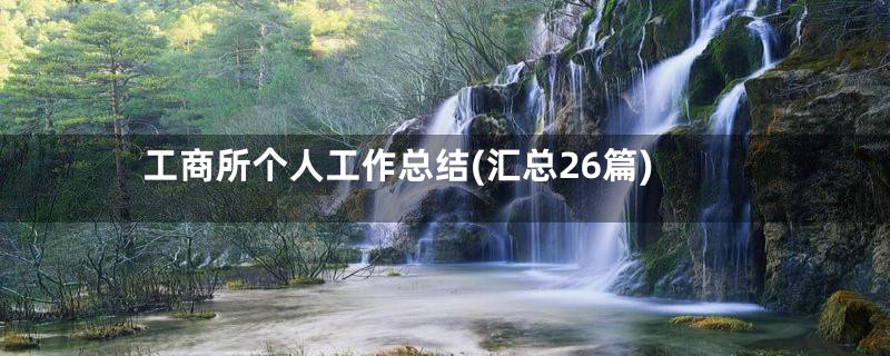 工商所个人工作总结(汇总26篇)