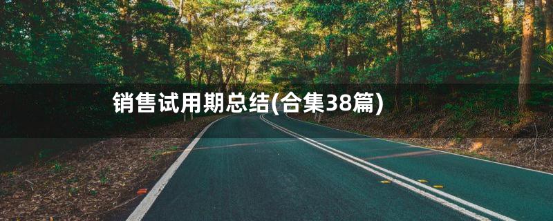 销售试用期总结(合集38篇)