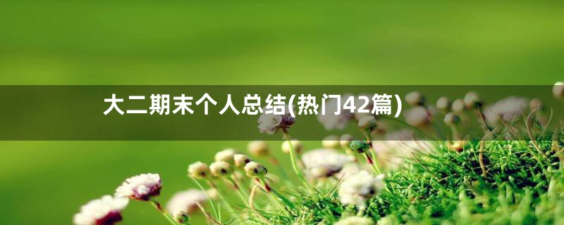 大二期末个人总结(热门42篇)