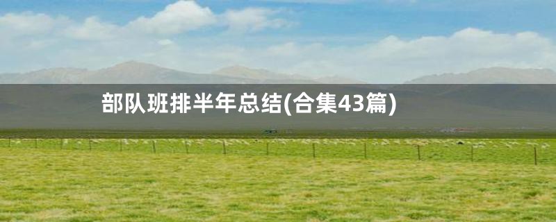 部队班排半年总结(合集43篇)