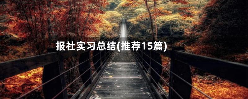 报社实习总结(推荐15篇)