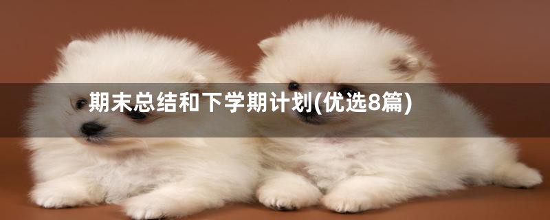 期末总结和下学期计划(优选8篇)