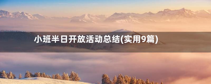 小班半日开放活动总结(实用9篇)