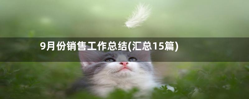 9月份销售工作总结(汇总15篇)