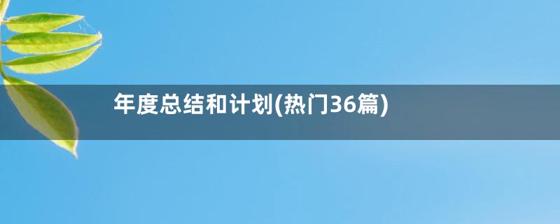 年度总结和计划(热门36篇)