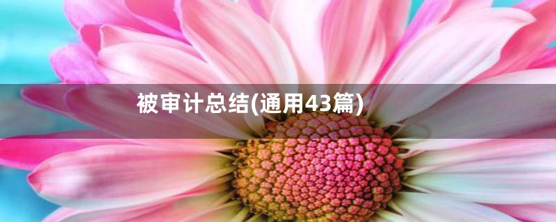 被审计总结(通用43篇)