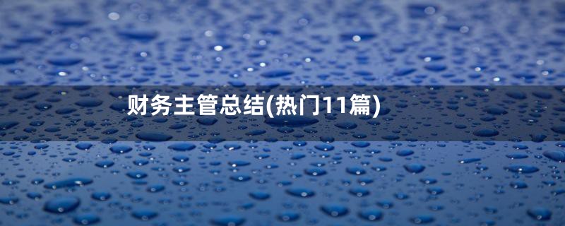 财务主管总结(热门11篇)