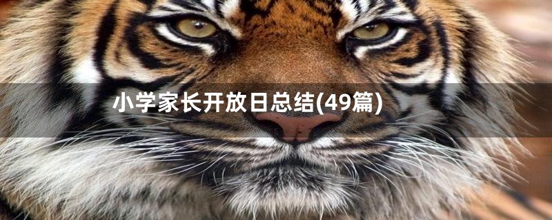 小学家长开放日总结(49篇)