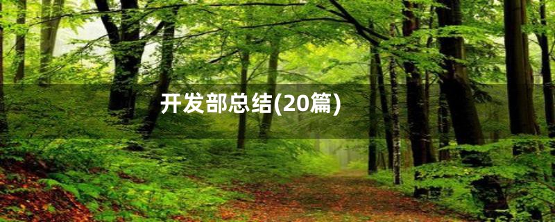 开发部总结(20篇)