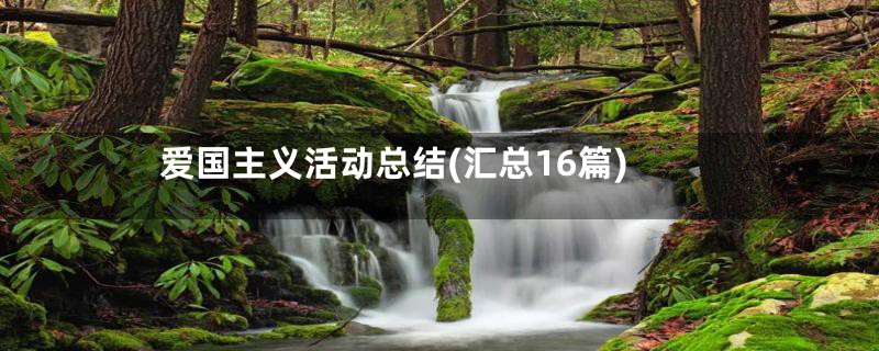 爱国主义活动总结(汇总16篇)