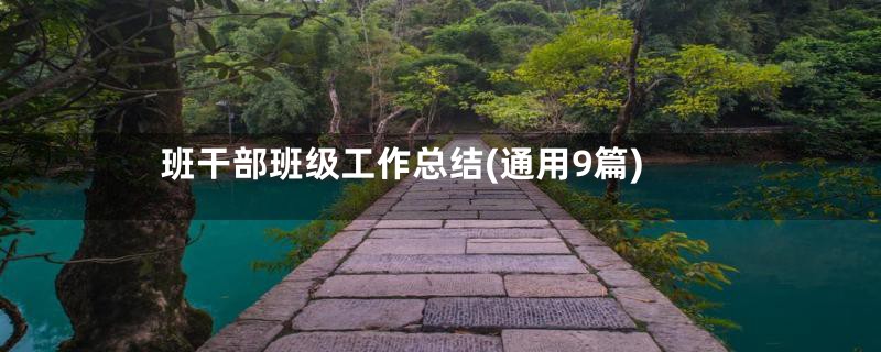 班干部班级工作总结(通用9篇)