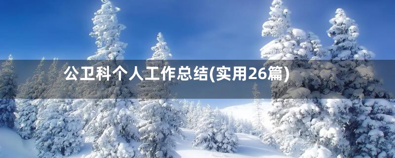 公卫科个人工作总结(实用26篇)