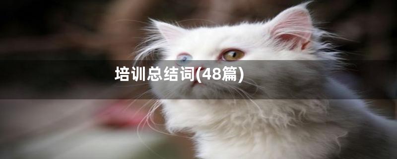 培训总结词(48篇)