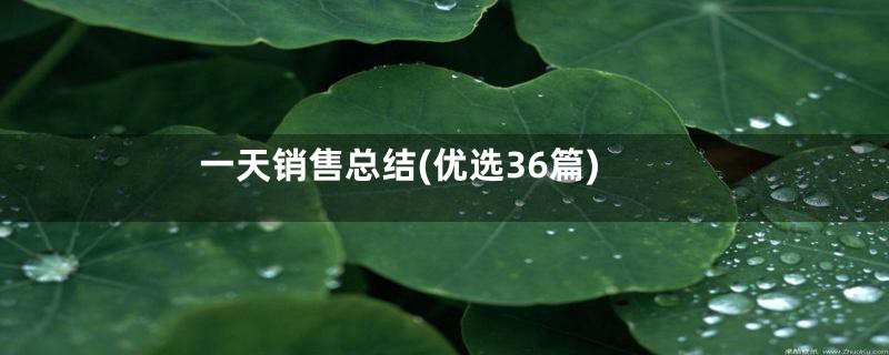 一天销售总结(优选36篇)