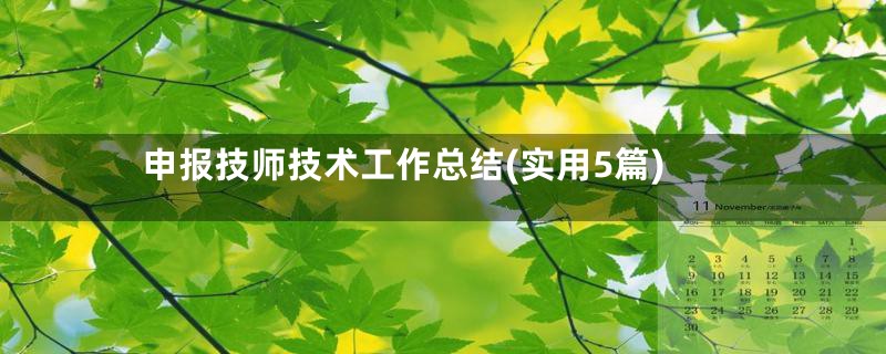 申报技师技术工作总结(实用5篇)