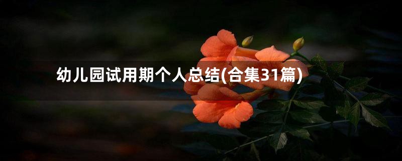 幼儿园试用期个人总结(合集31篇)