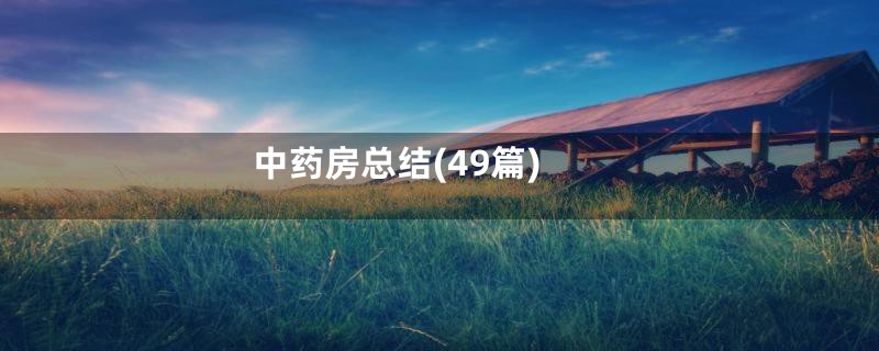 中药房总结(49篇)