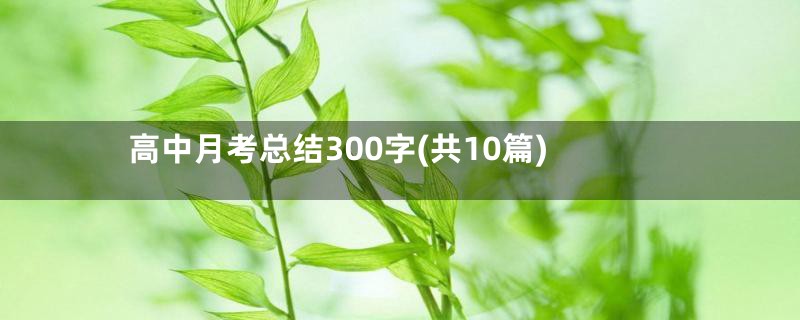 高中月考总结300字(共10篇)