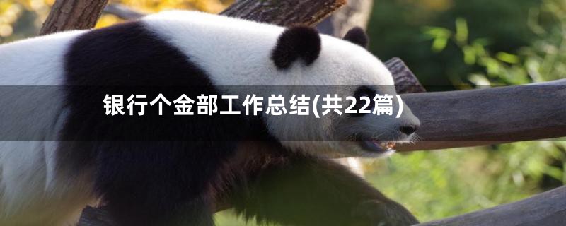 银行个金部工作总结(共22篇)