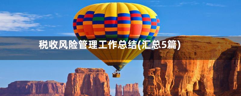 税收风险管理工作总结(汇总5篇)