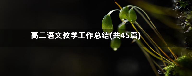 高二语文教学工作总结(共45篇)