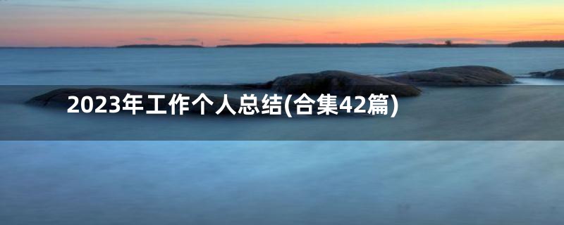 2023年工作个人总结(合集42篇)