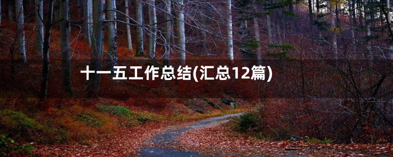 十一五工作总结(汇总12篇)