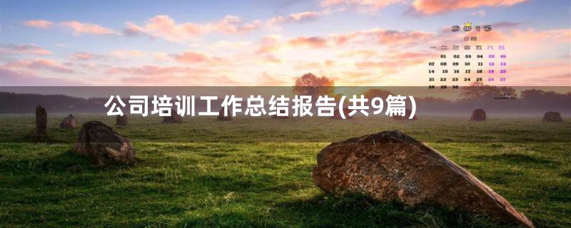 公司培训工作总结报告(共9篇)