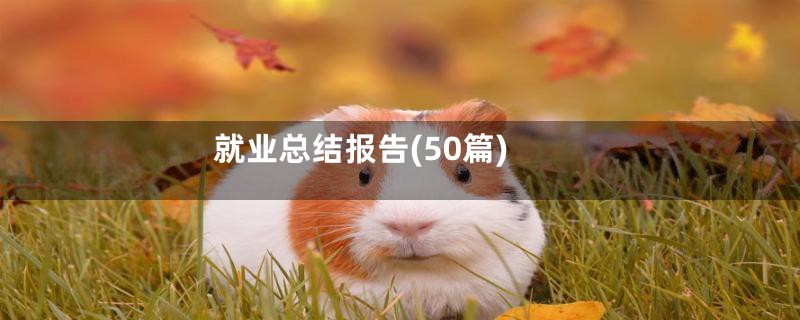 就业总结报告(50篇)