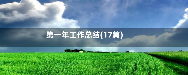 第一年工作总结(17篇)