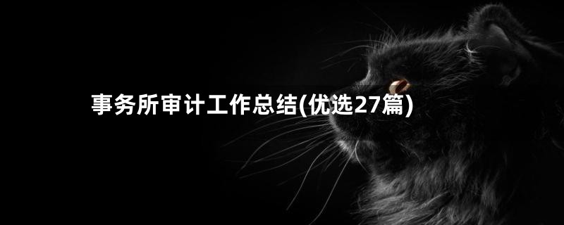 事务所审计工作总结(优选27篇)
