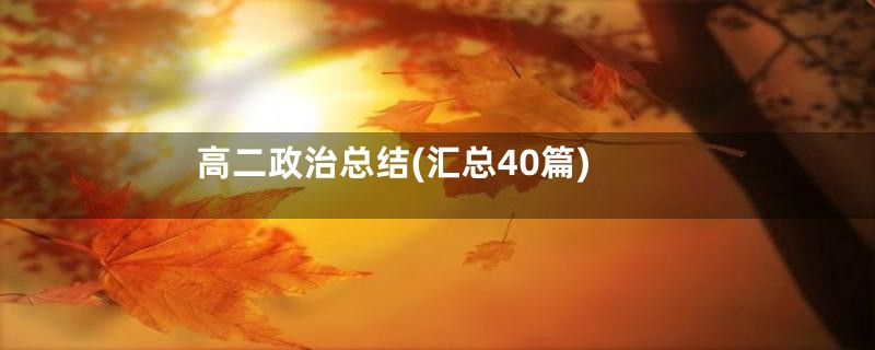 高二政治总结(汇总40篇)