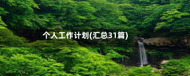 个人工作计划(汇总31篇)
